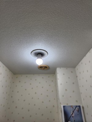 line_oa_chat_251104_192531