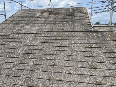 line_oa_chat_251104_193237